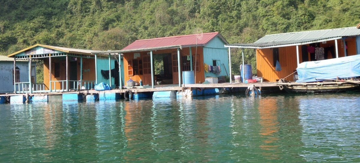The neat little houses