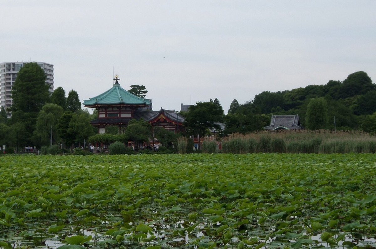 Ueno park