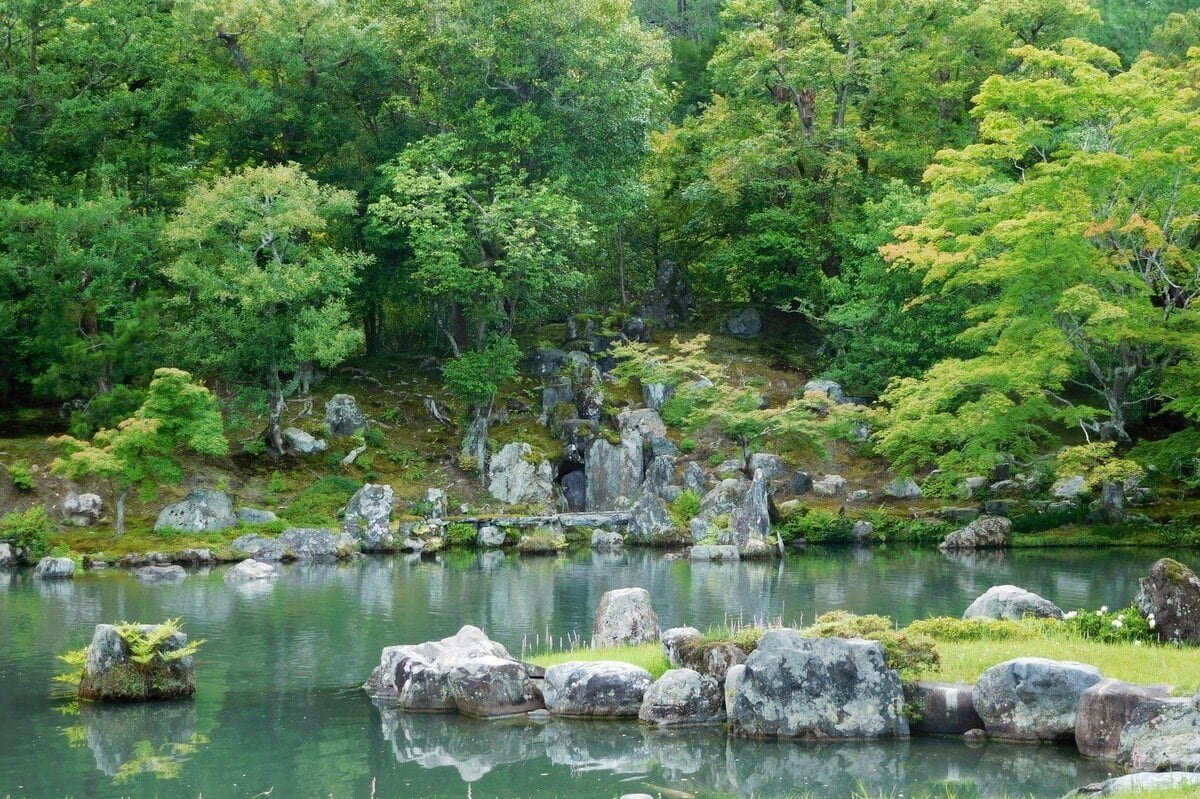 Rocks