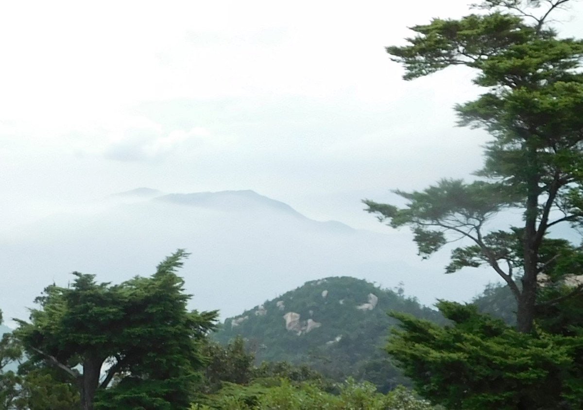 The view from the top