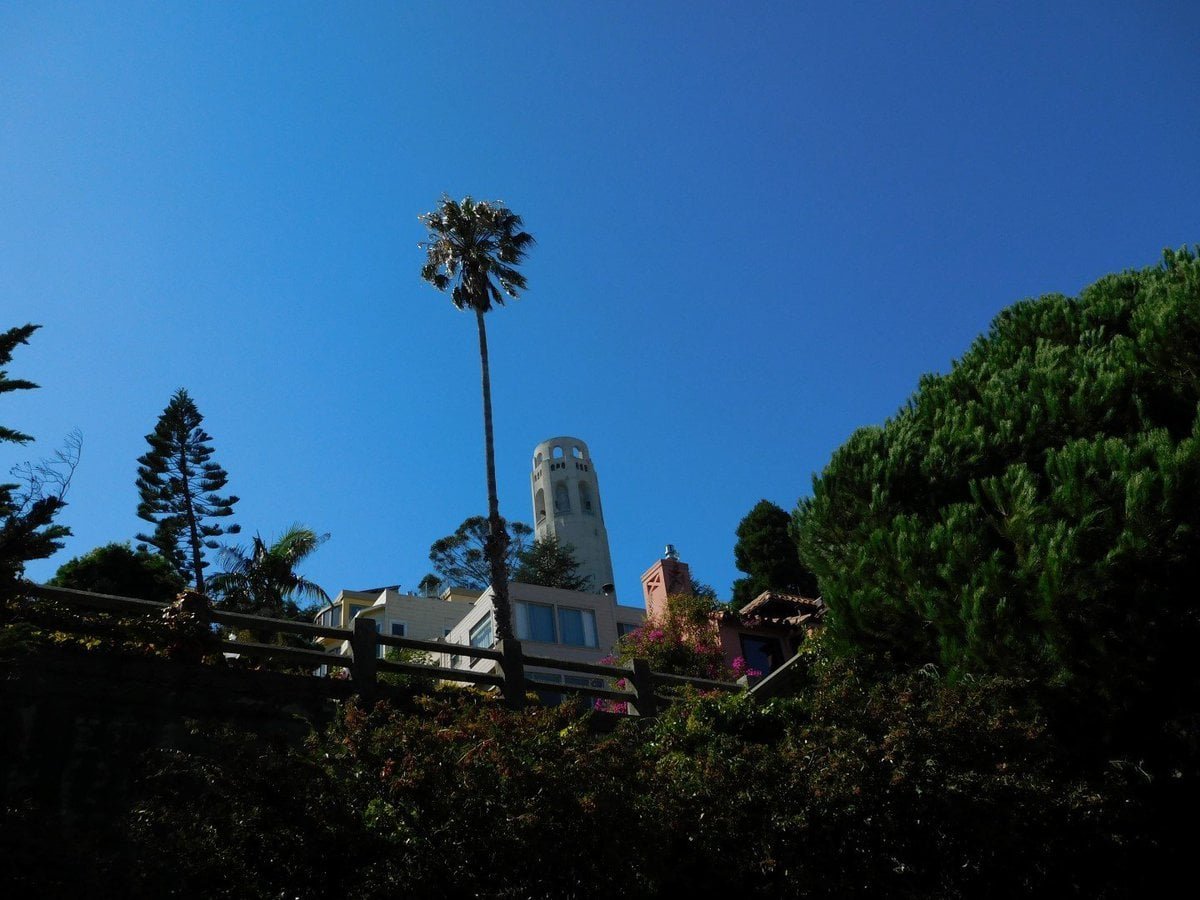 Coir tower which is one of my favourite spots
